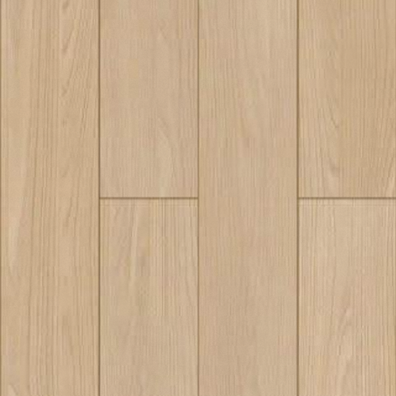 Wood Color Texture