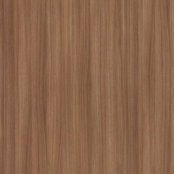 Wood Color Texture