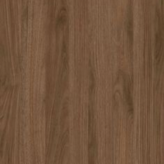 Wood Color Texture