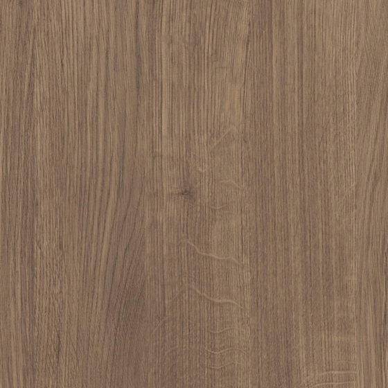 Lucey Oak Moody Rapport