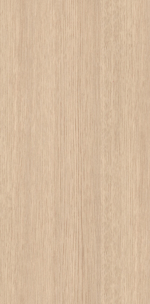 62 White Oak Light Wood Fine Texture Seamless