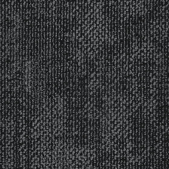 European Dark Grey 4