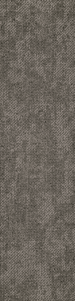 European Light Brown 2