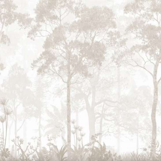 wallpaper1-Life N Color