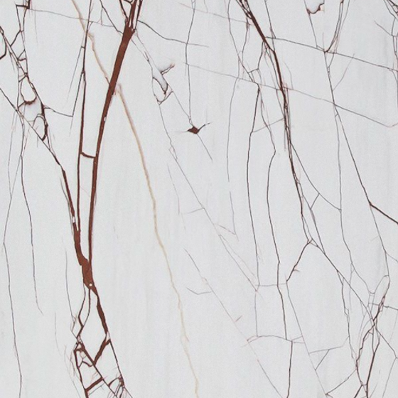 237df4be8483a3c6fea790e76d742495