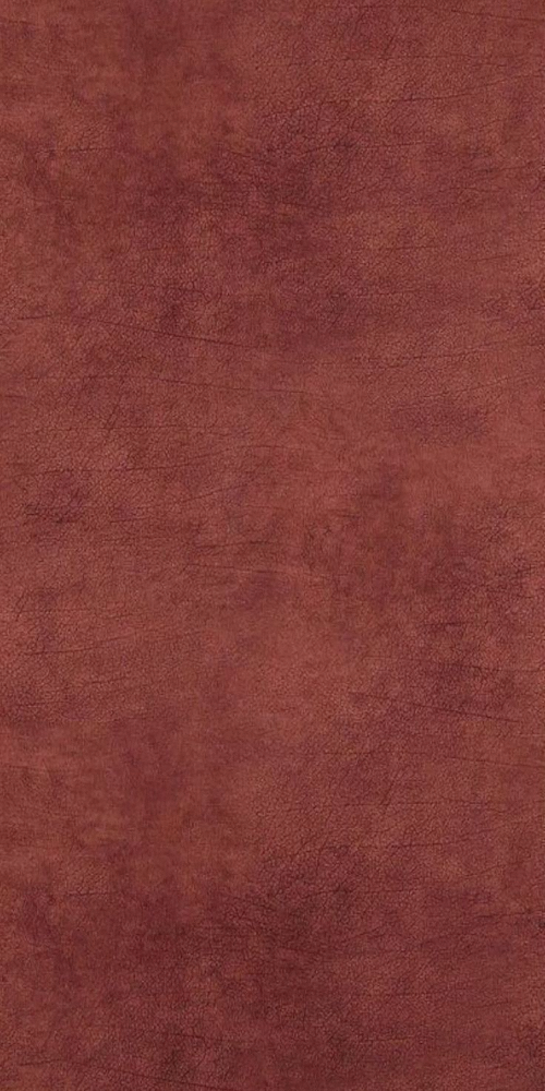 db458087b93c8e10d325365df65e506a