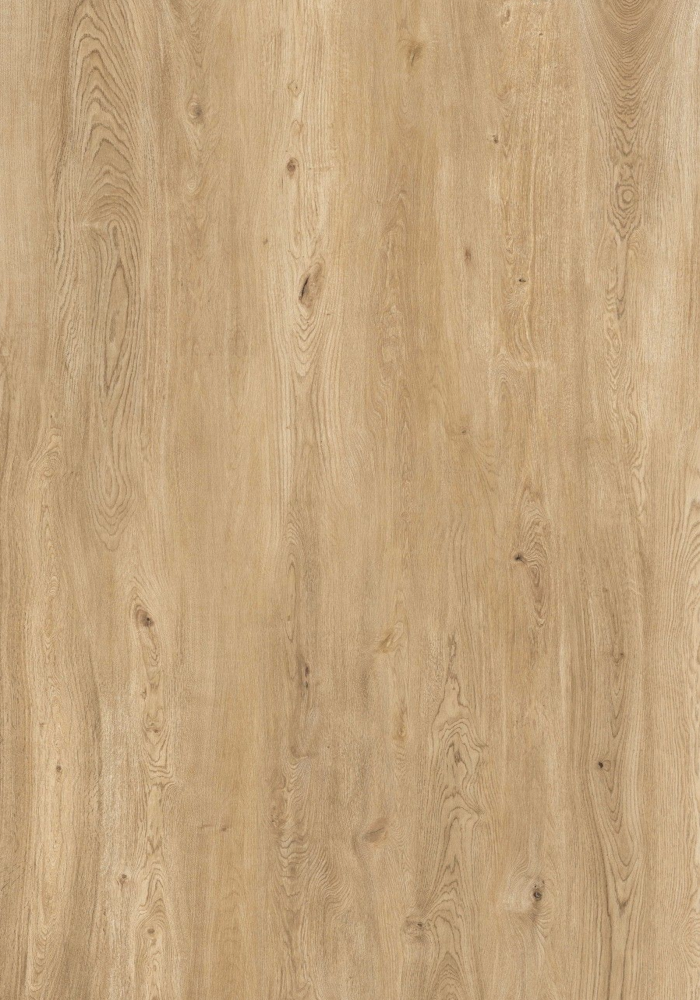 4caa157f4f59f07a9420f6c4a0aa9e5a