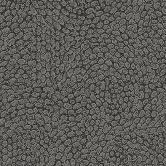 Reception Install 03 5S