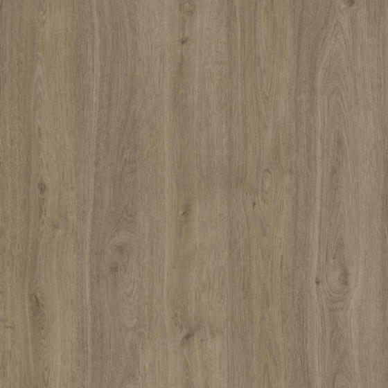 DG 7817 CHIARO DURINI