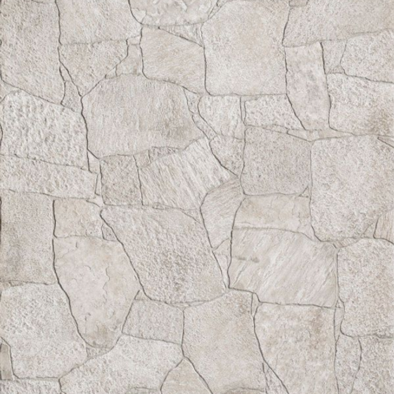 WhatsApp Image 2025-12-23 at 5.24.20 PM (1)