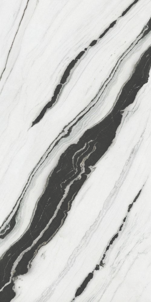 WhatsApp Image 2025-12-24 at 10.41.40 AM