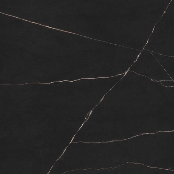 Black Slate Tile Less Saturation