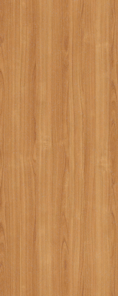 Wood Texture 4