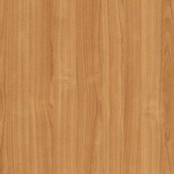 Wood Texture 4
