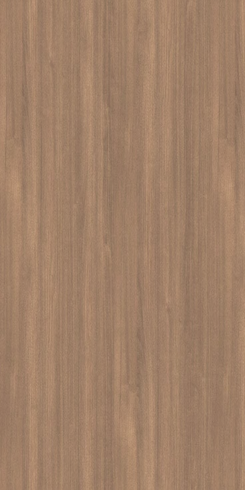 WhatsApp Image 2026-01-02 at 11.07.05 AM