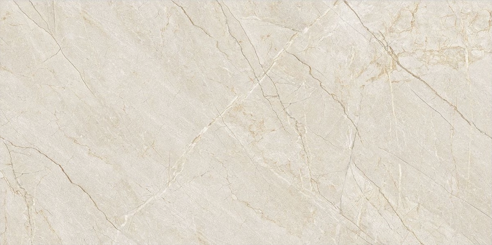 91cb6d4d-77ff-48bb-b50f-401d9a1641ba