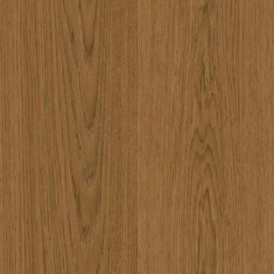 WhatsApp Image 2026-01-02 at 3.56.52 PM