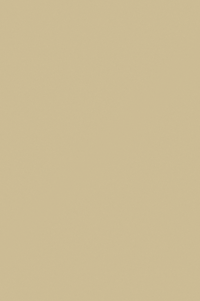 JOTUN 8583 Earthy Yellow