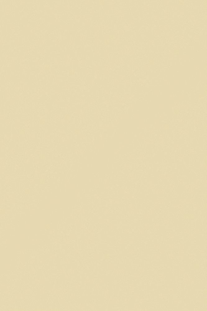 JOTUN 1775 Fresh Pasta