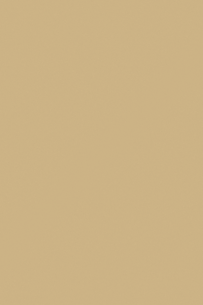 JOTUN 1109 Mediterranean Olive