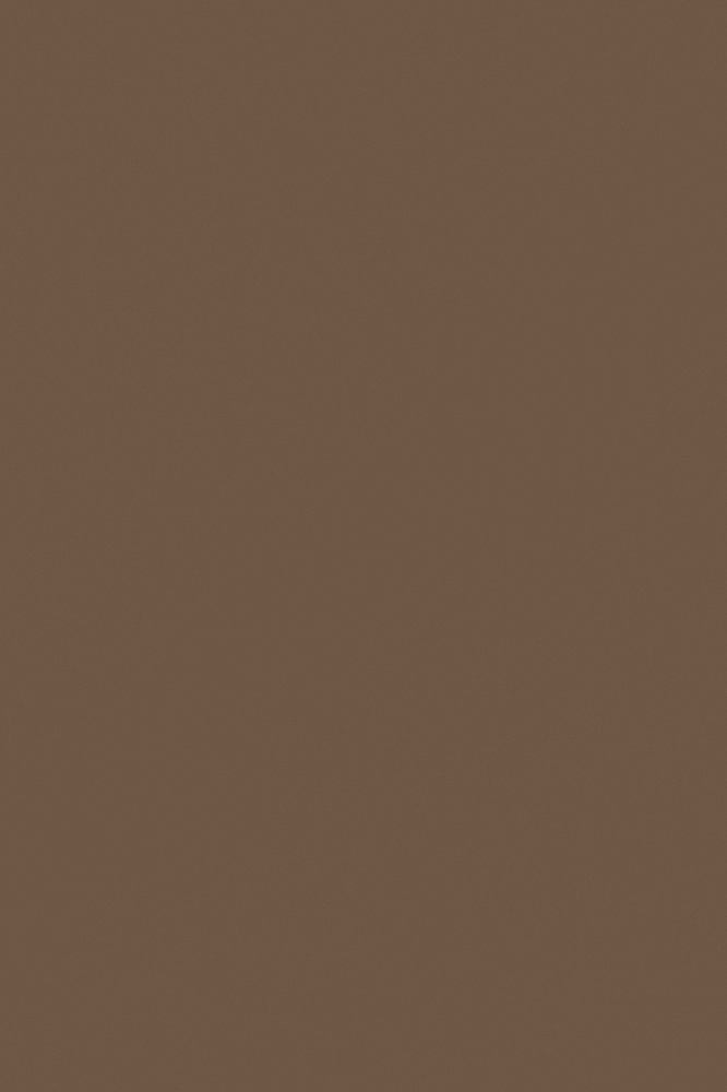JOTUN 12127 Earthy Brown