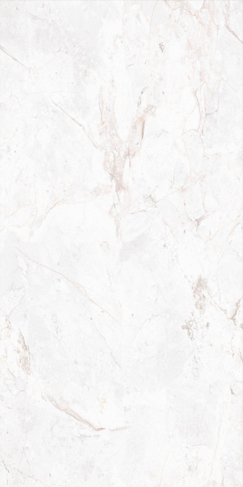 Marble Series 600x1200 Liezen Bianco