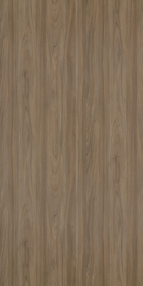 TH 1216 NT - Zurich Elm