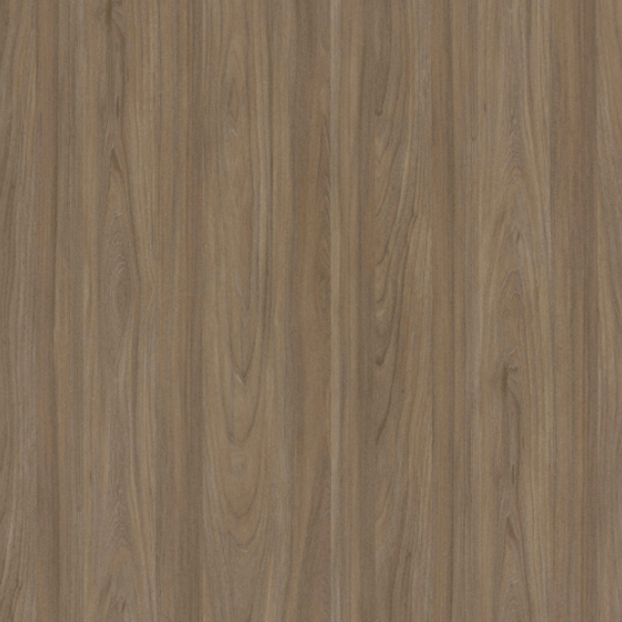 TH 1216 NT - Zurich Elm